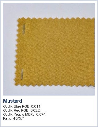 Cotton lab dyeing in Mustard, matched by CCM, with recipe: Cotfix Blue RGB 0.011, Cotfix Red RGB 0.022, Cotfix Yellow MERL 0.674, ratio 40/5/1
